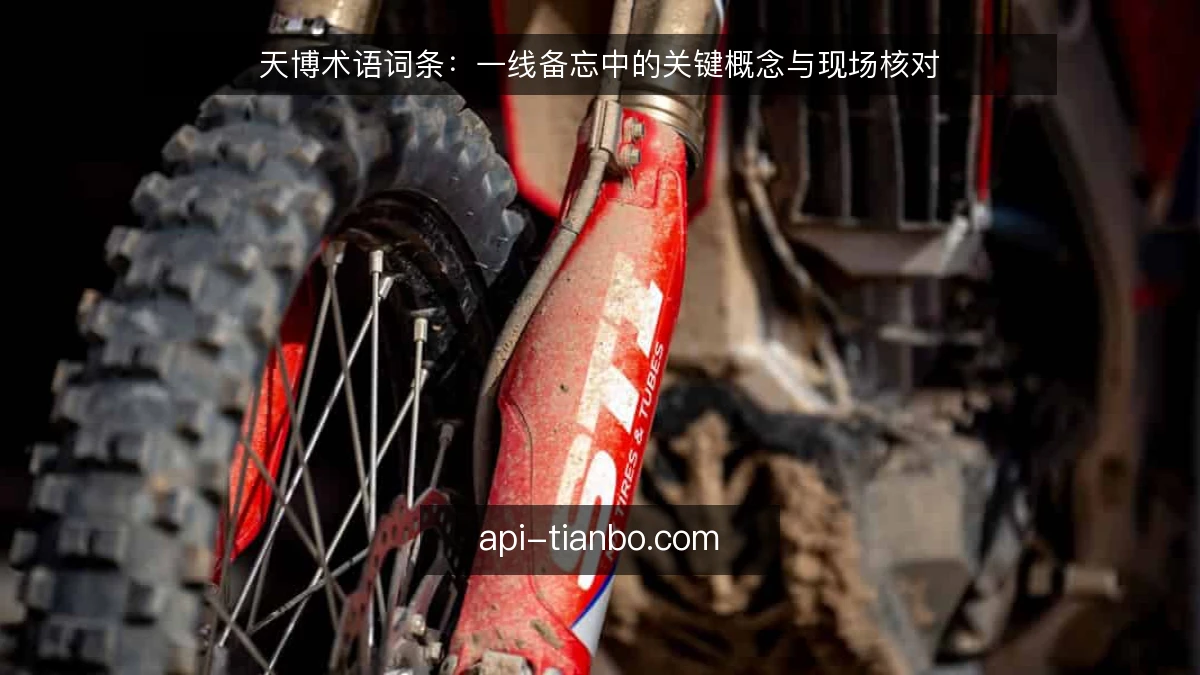 天博术语词条：一线备忘中的关键概念与现场核对