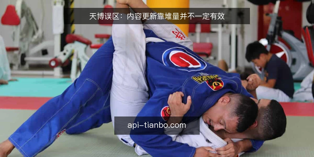天博误区：内容更新靠堆量并不一定有效 — 内容更新越勤快，为什么还是没人用 配图